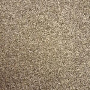 Meet your Posher, Amoah